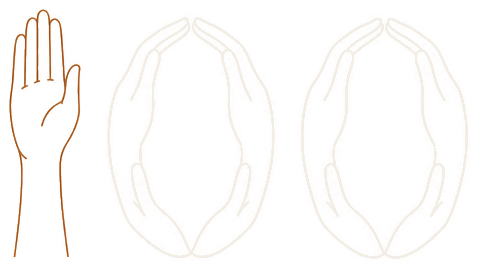 HUNDREDHANDS